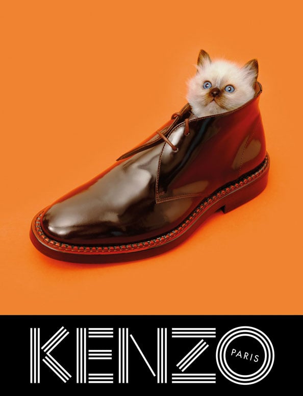 1.-KENZO_FW13_Campaign_-_cat_shoe