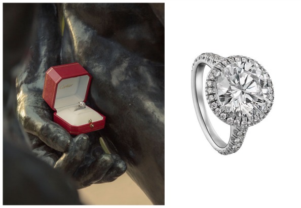 cartier, the proposal