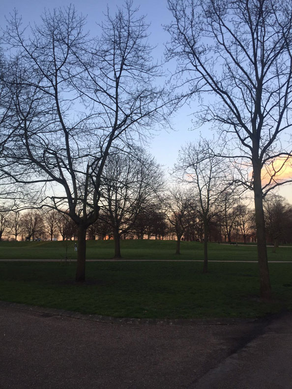 The weather was beautiful so I decided to take a walk through Hyde Park just as this beautiful sunset started.