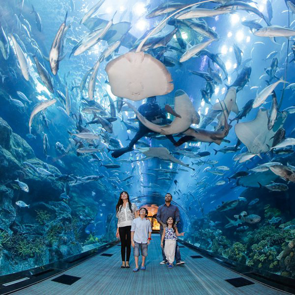0 dubai aquarium the dubai mall