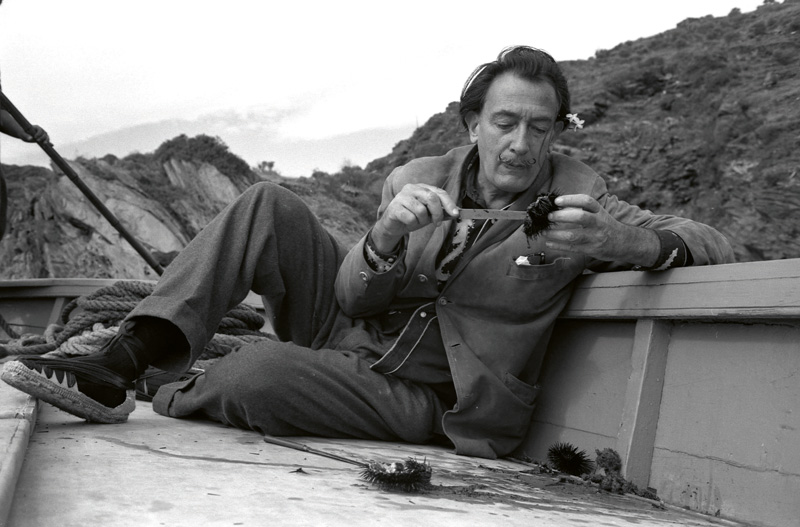 salvador dali