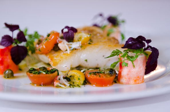 010.-The-Ivy-Chargrilled-Halibut-&-Crab-Vierge-2