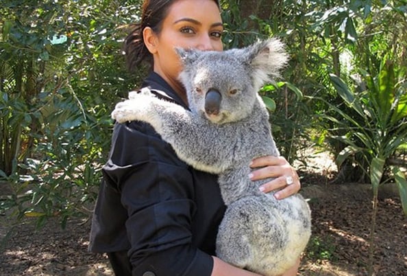 Kim Kardashian acquaints herself with the Australian Koala