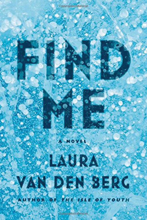Holiday reading, Laura van den Berg
