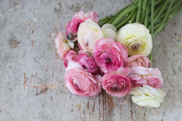 flowers, bouquet, 10 Popular Flowers Perfect For A Desert Wedding 