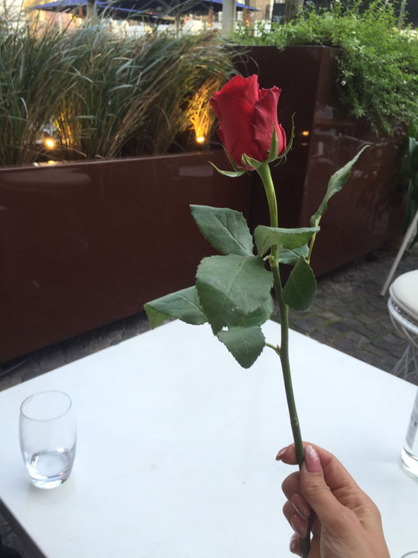 Joined friends for dinner at the Blue Bird in Chelsea were I was given a beautiful rose. 