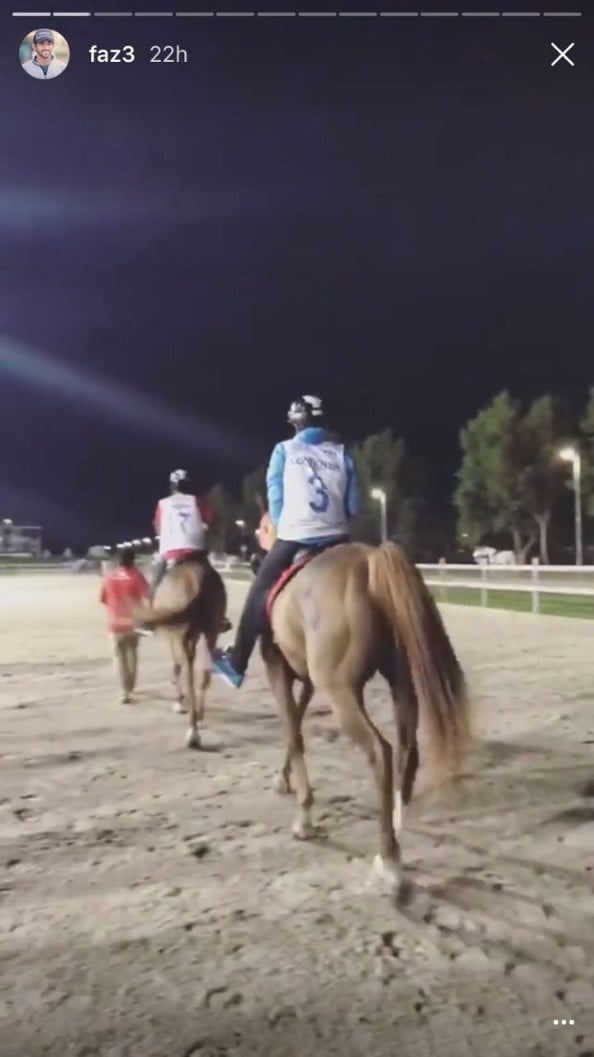 sheikh hamdan horse