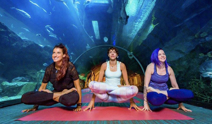dubai aquarium yoga