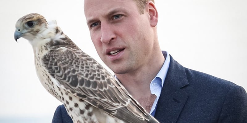 prince william oman kuwait