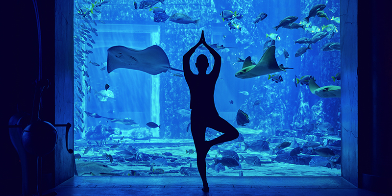 underwater yoga atlantis the palm aquarium dubai uae