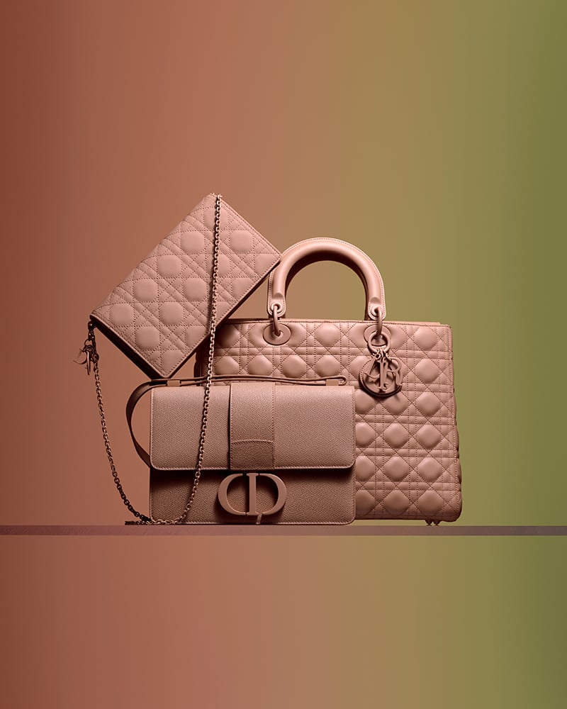 Dior bag cheap new collection 2020