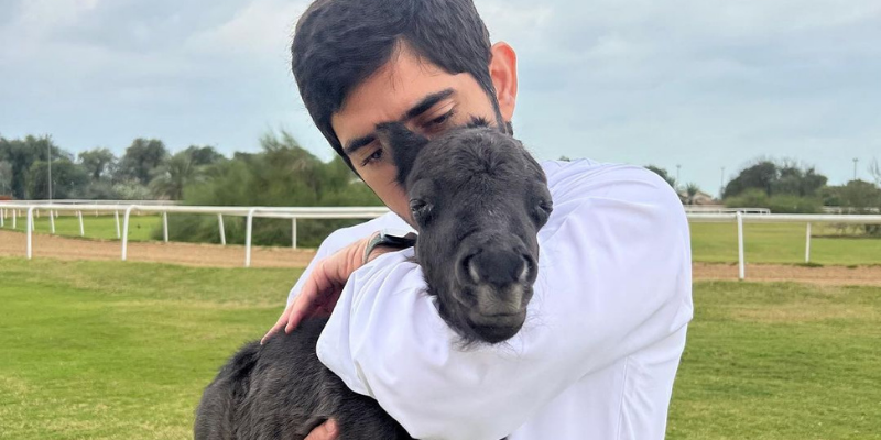 Sheikh Hamdan foal