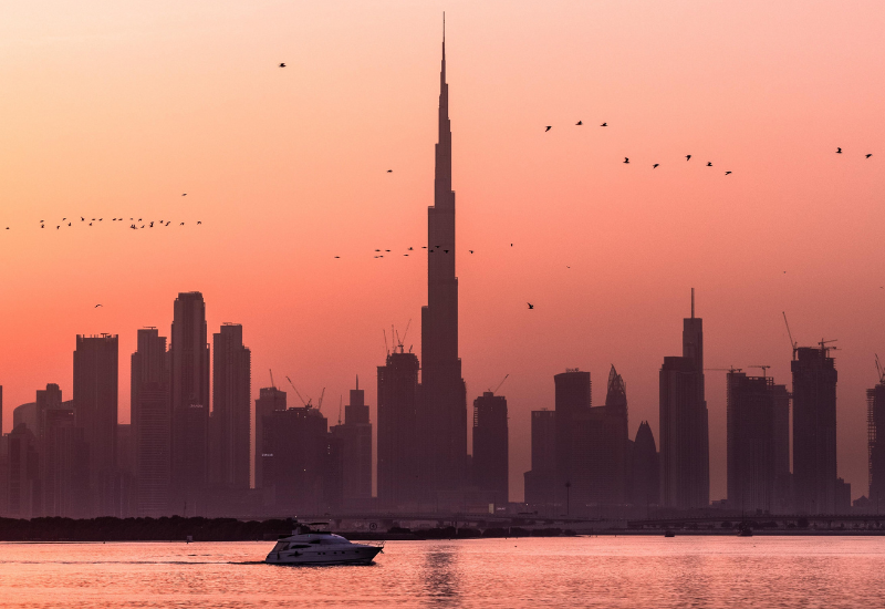 Dubai skyline (3)