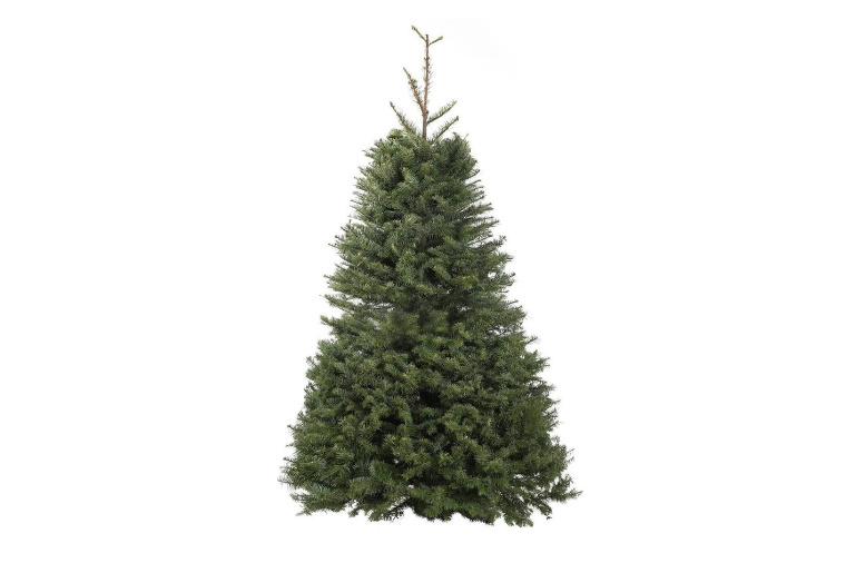 Ace hardware Christmas tree