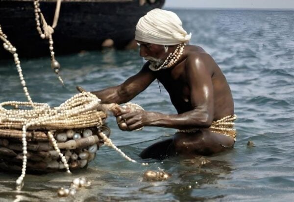 Pearl Diving Economy