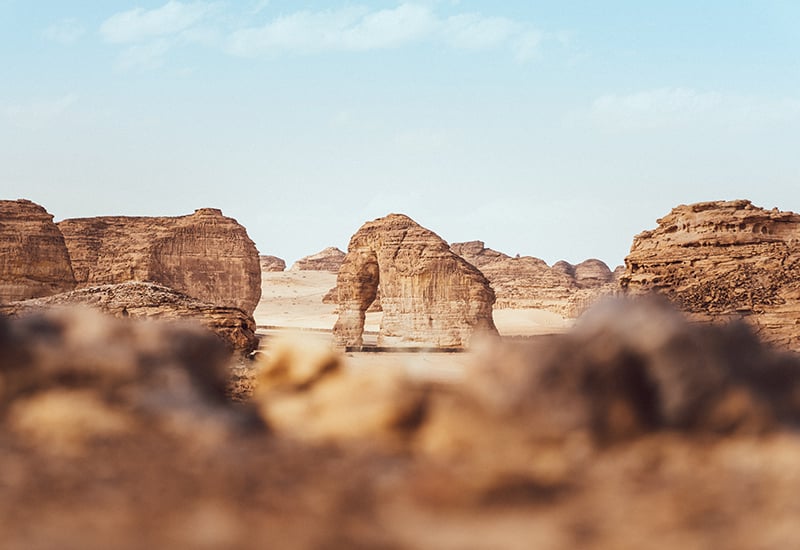 Banyan Tree AlUla